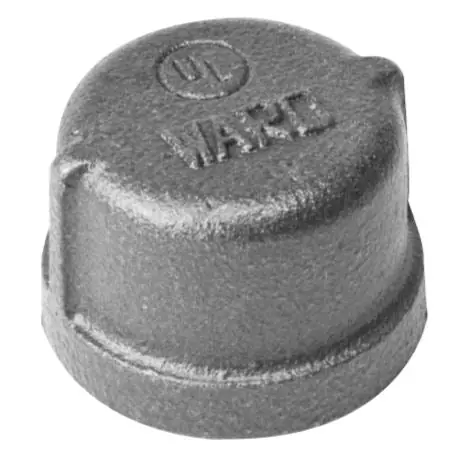 Ward 2D.BMCAP Pipe Cap, 150 lb, 2-1/2 in, FNPT