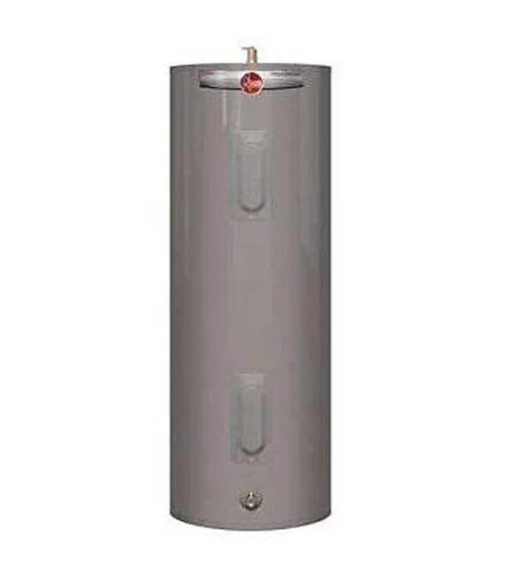 Ruud PROE50-M2-RU95 Professional Achiever 50 gal. Medium 4.5kW 2-Element Residential Electric Water Heater