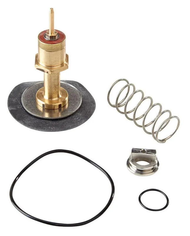 Watts 0887015 Series RK-009 3/4 - 1 in. Relief Valve Repair Kit