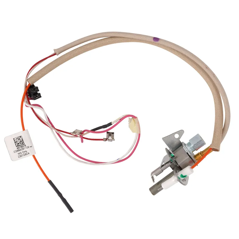 AO Smith 100293455 Kit, Pilot/thermopile W/tubing, Natural