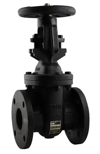 Apollo 6GA100B1LFA Valve
