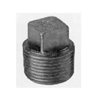 Capitol Manufacturing 33333020 Plug 2 SS T316 SQ Head STD 150# Thrd