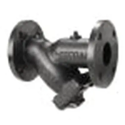 Keckley 31FFY-CI062P34-FBI-A7I Y Strainer 3 CI A7I 125# Flg 31FFY-CI062P34-FBI-A7I
