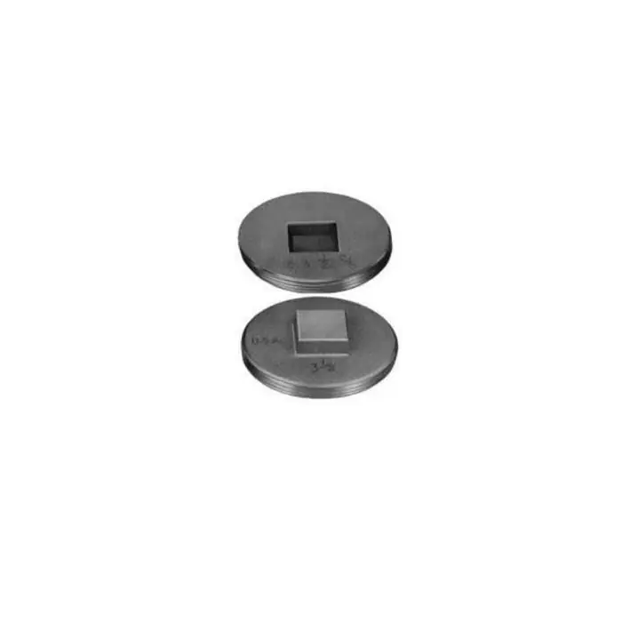 Pasco 1865-NT 2 in. Brass Countersunk Slotted Plug without Tapping