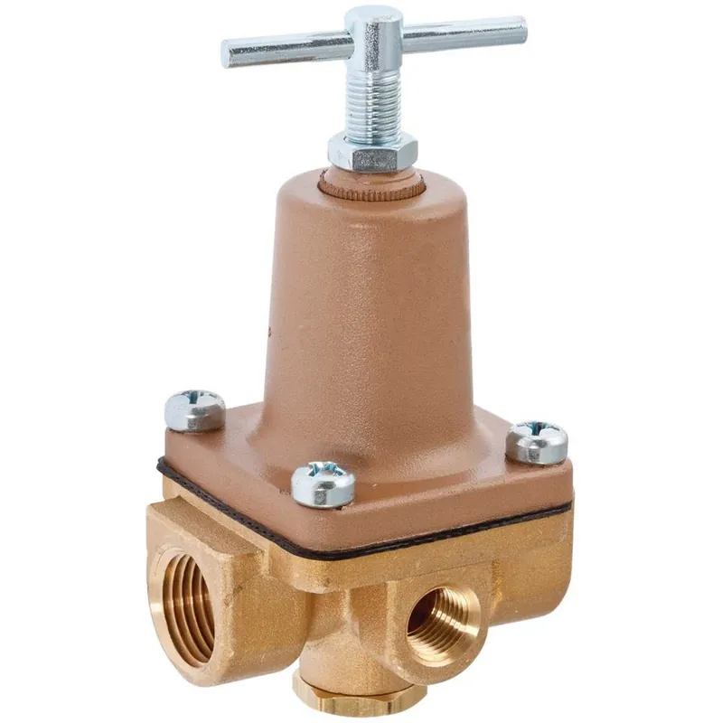 Watts Regulator Co. W-0009826