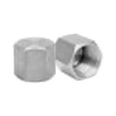 ASC Engineered Solutions 0319900049 CAP 1/4 GLV STEEL 300# THRD
