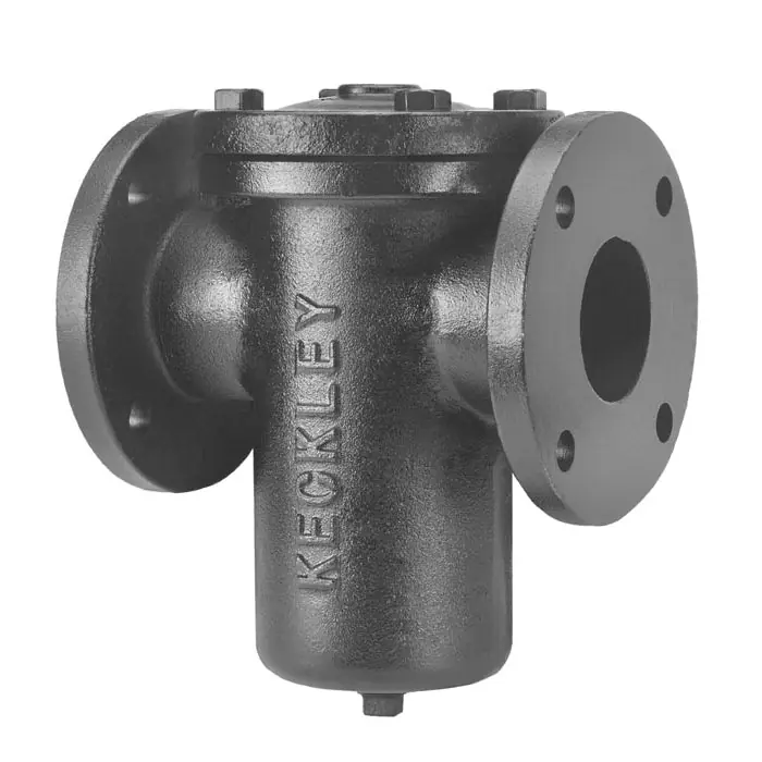 Keckley 81FFS-CI125P34-FBI-GFV Simplex Basket Strainer 8 in