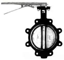 Legend Valve 116-203 Swing Check Valve 3 Inch Cast Iron