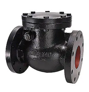 Legend Valve 116-201 T-311 Cast Iron Swing Check Valve