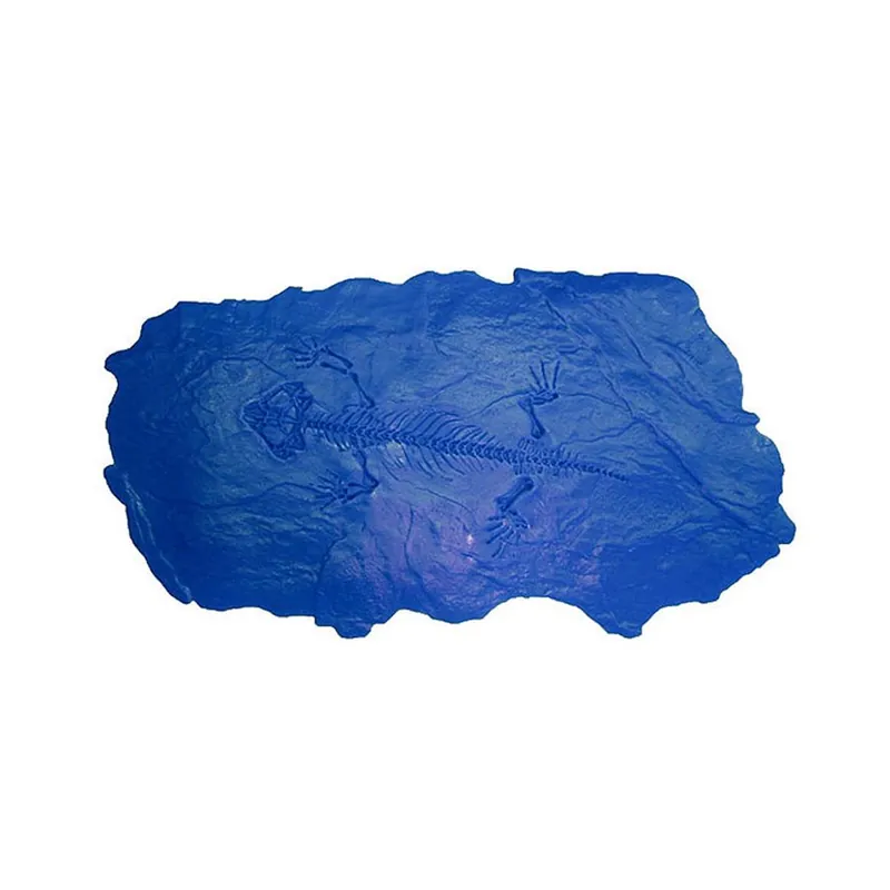 BonWay 32-684 Fossil Stamp - Protocolphon