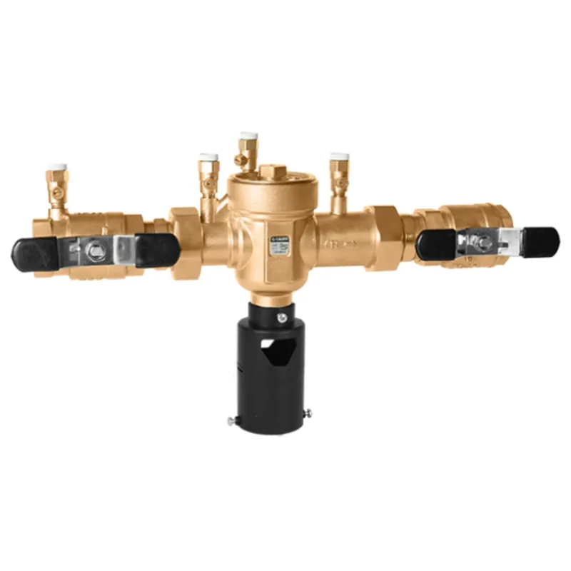 caleffi 574900A 2 FNPT backflow preventer power 2 replacement MPN