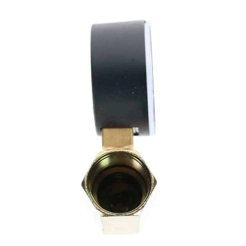 Pasco 1413 Air Test Gauge Assembly 0-100# - 3/4FPT