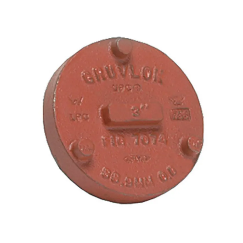 Gruvlok GVLF-7074-200-PNTD 2 End Cap - Painted - GR