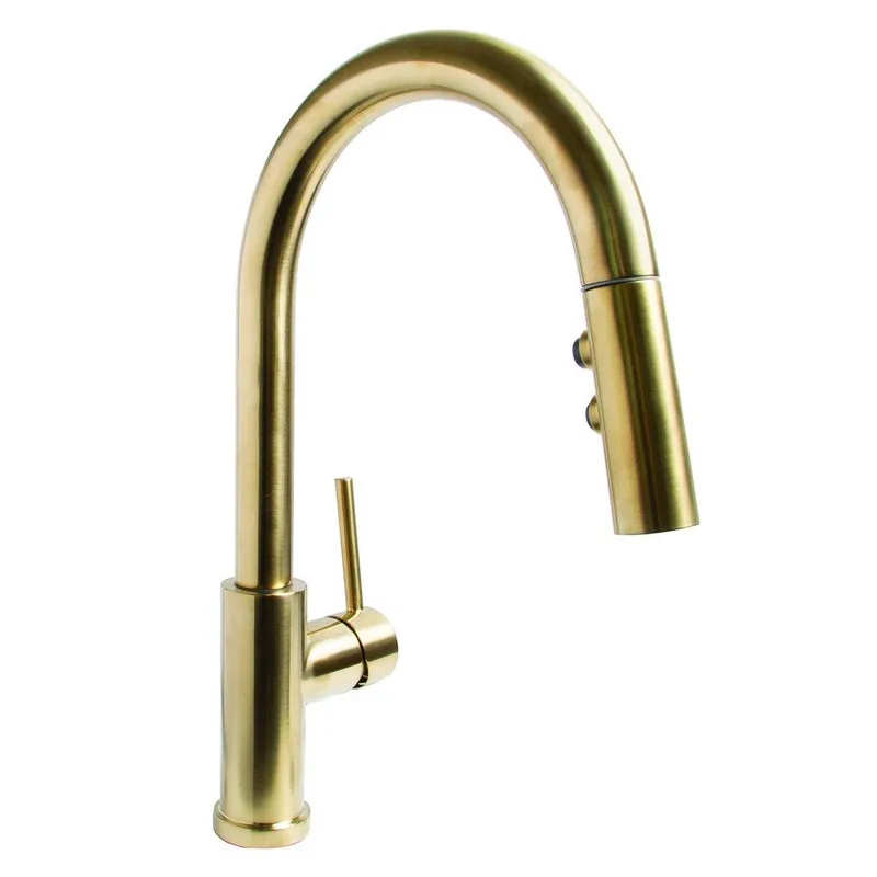 Speakman SB-1042-BRB Neo Single Handle Pull Down Kitchen Faucet in Aged Brass