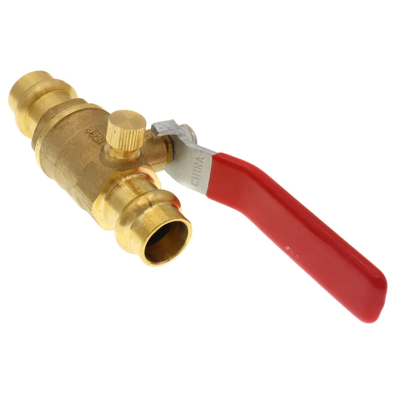 Legend Valve 101-213NL 1/2 P-202NL PRES DRAINABLE BV