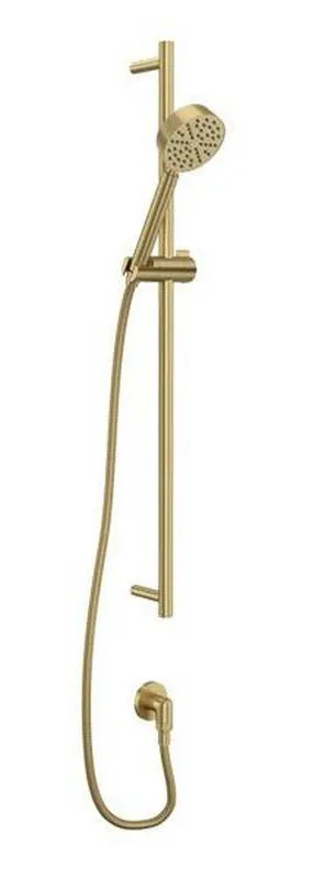 Rohl 0126SBHS1AG Tenerife Single Function Hand Shower Antique Gold