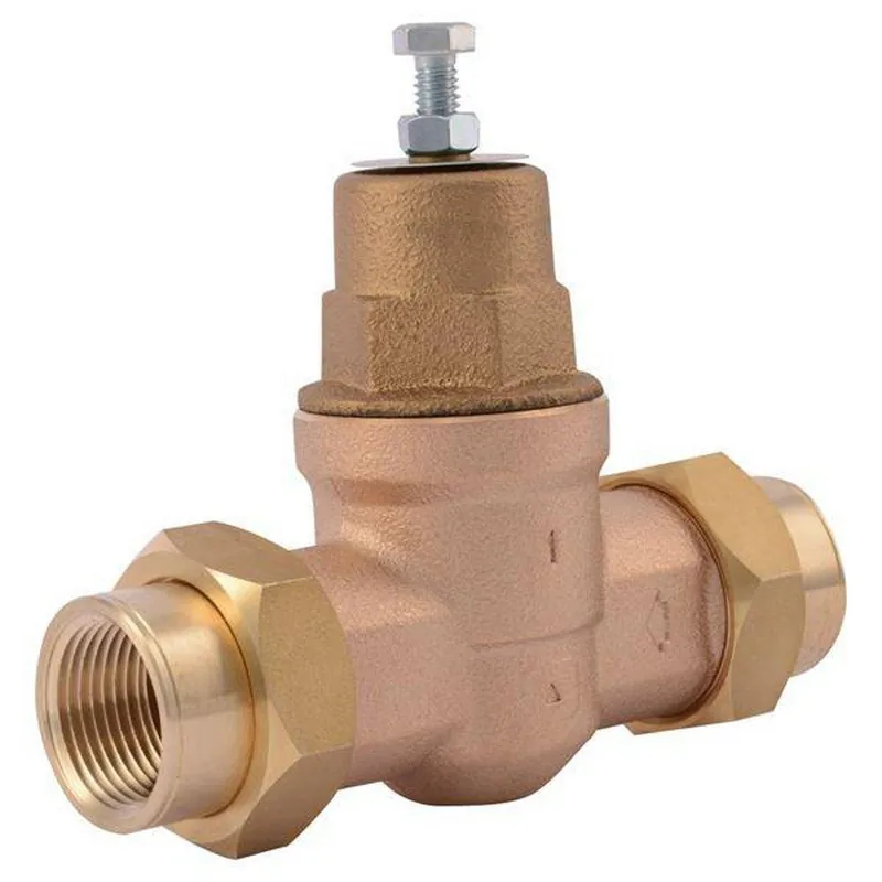 Cash Acme 23156-0045 EB-45 1 in. 400 psi Bronze NPT Union Pressure Reducing Valve