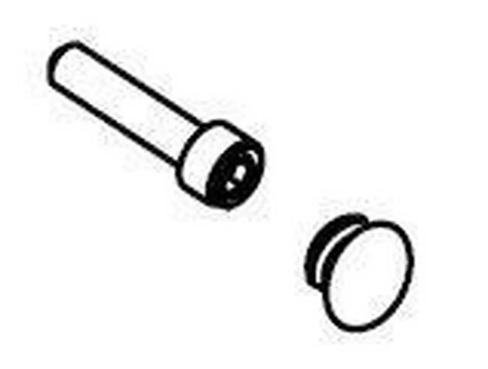 Moen 113957 Plug Button & Screw Set