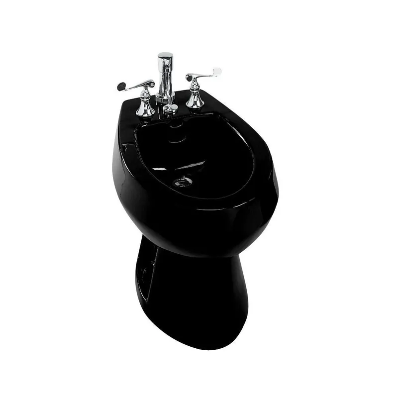 Kohler 4854-7 San Tropez Vertical Spray Bidet in Black Black