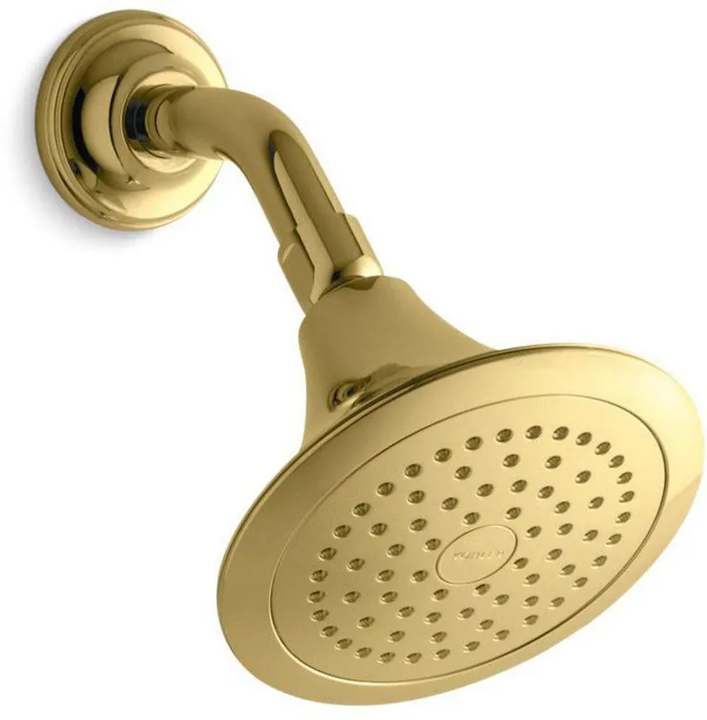 Kohler 10282-AK-PB Forte Single Function Showerhead in Vibrant Polished Brass
