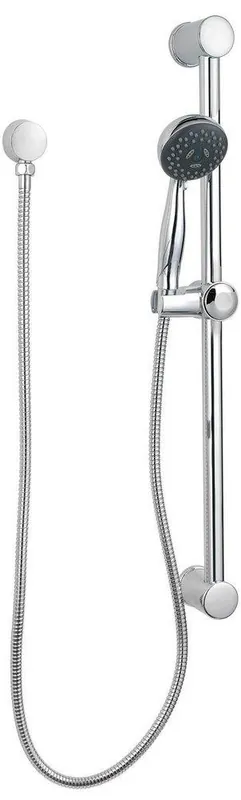 Pfister LG16-500C Pfirst Series Multi Function Hand Shower in Polished Chrome