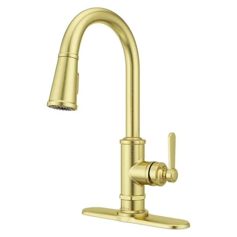 Pfister GT529-TDBG Port Haven Single Handle Pull Down Kitchen Faucet