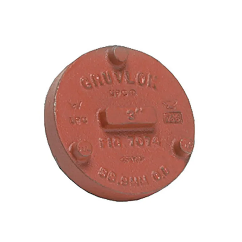 Gruvlok GVLF-7074T-600-PNTD 6 Cap - Painted - GR