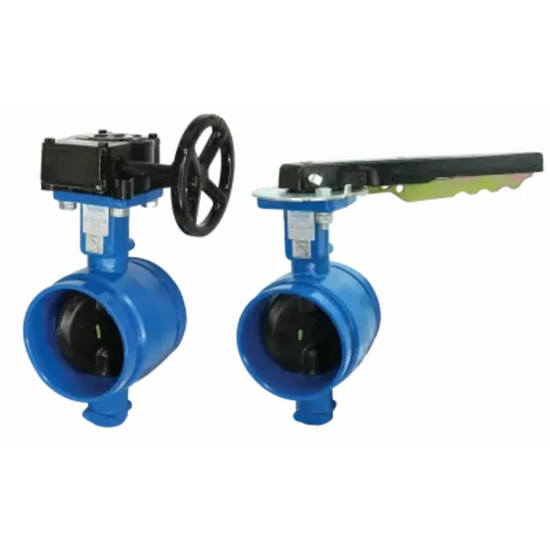 Gruvlok GVLF-AN7721-3-500 5 Butterfly Vlv E Grade Disc - Grooved