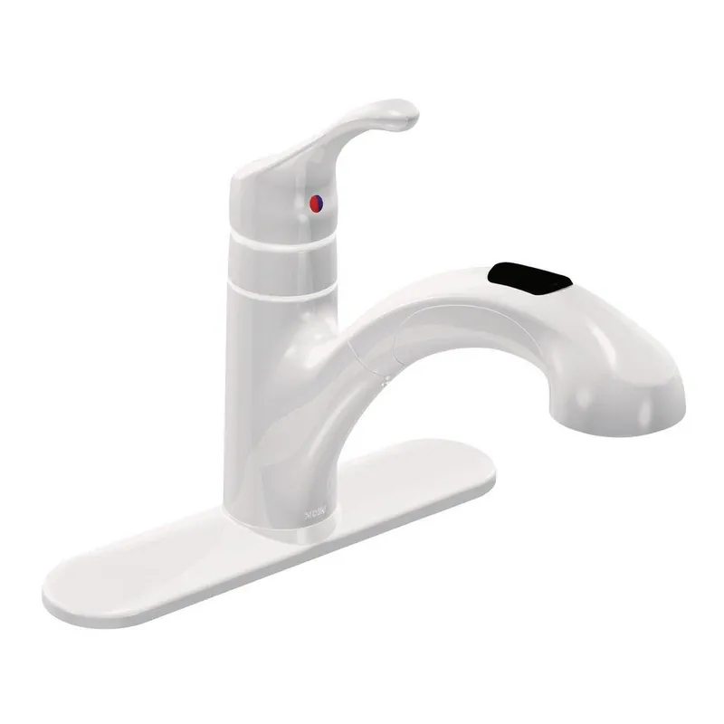 Moen CA87316W Renzo Single Handle Pull Out Kitchen Faucet in Glacier