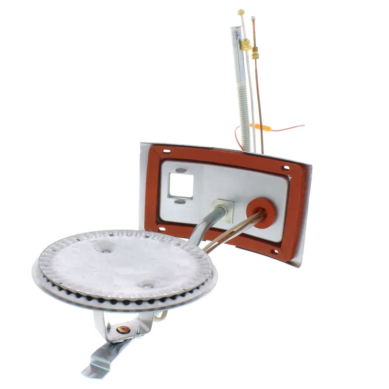 Rheem AM42437 Burner Assembly
