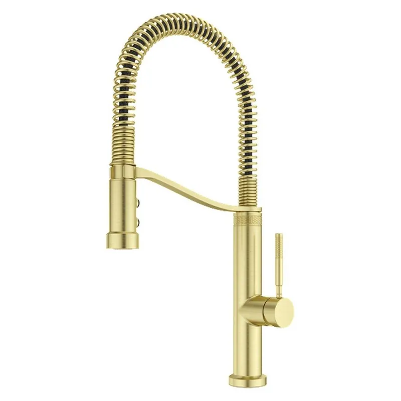 Pfister GT529-BRUBG Bruton Single Handle Pull Down Kitchen Faucet in Brushed Gold