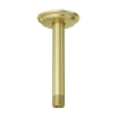 Pfister 015-06CBG 6 Ceiling Mount Shower Arm & Flange