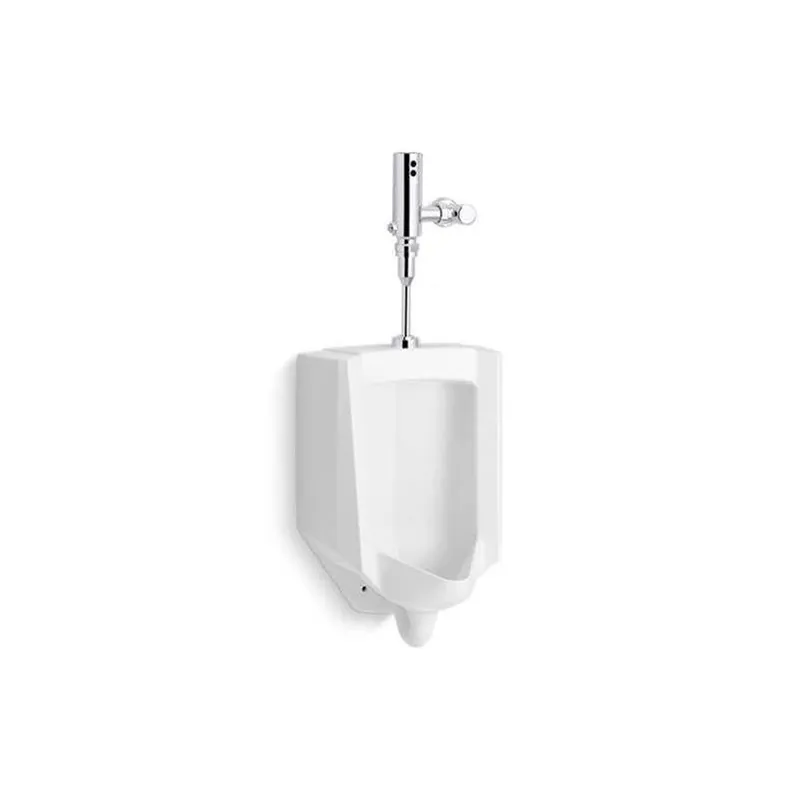 Kohler PR4991-T2H-NA Bardon Urn & Mach 0.5 Hybrid
