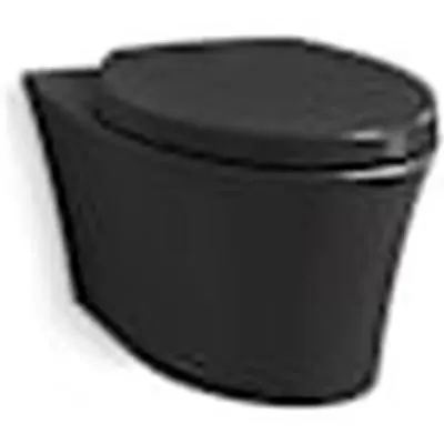 Kohler 31539-7 CCY 1PC DUFL EB TLT BLAC WM
