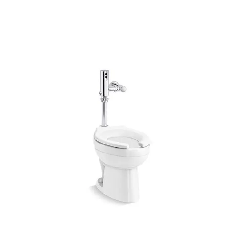 Kohler PR96053-T5D-NA CVR Wellco Bowl & Mach 1.6 DC