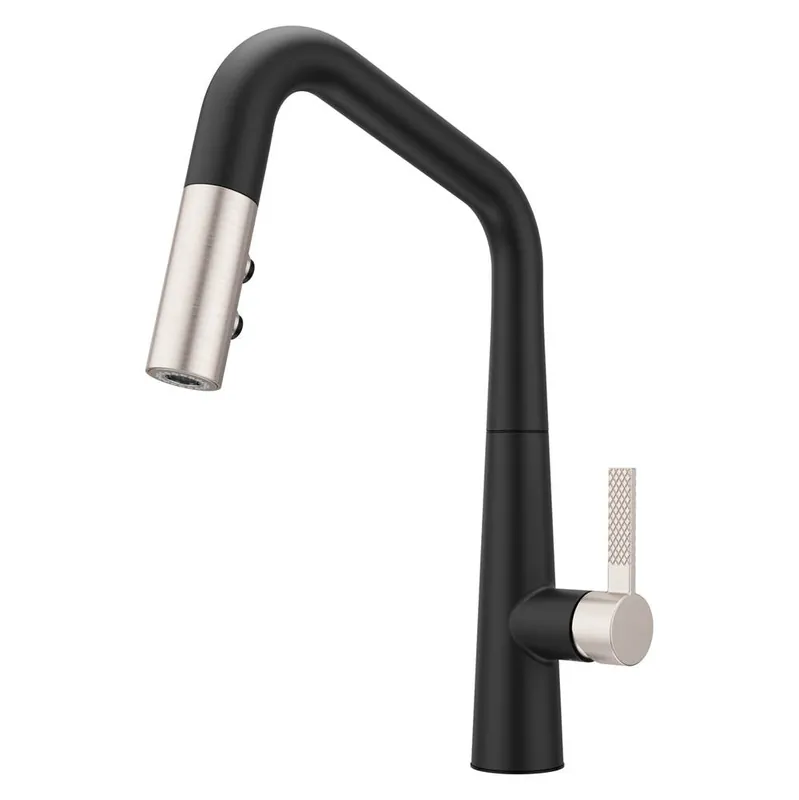 Pfister GT529-ASRBGS ASARI 1-Handle Pull-Down Kitchen Faucet