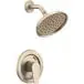 Moen 48002BNGR Slate Brushed Nickel Cycling Shower Only