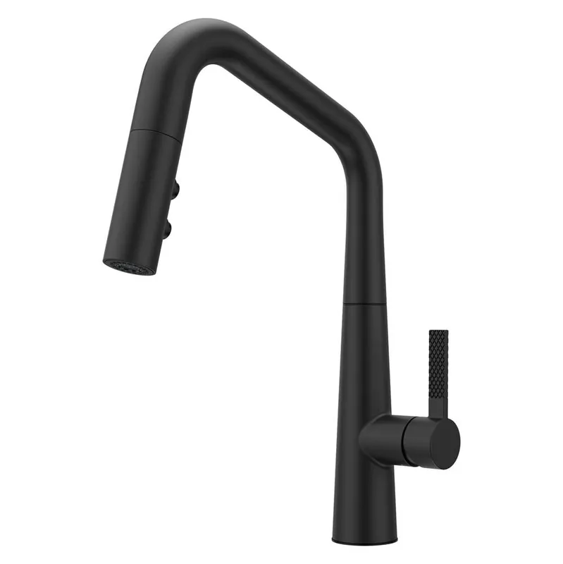 Pfister GT529-ASRB 1-Handle Pull-Down Kitchen Faucet Matte Black