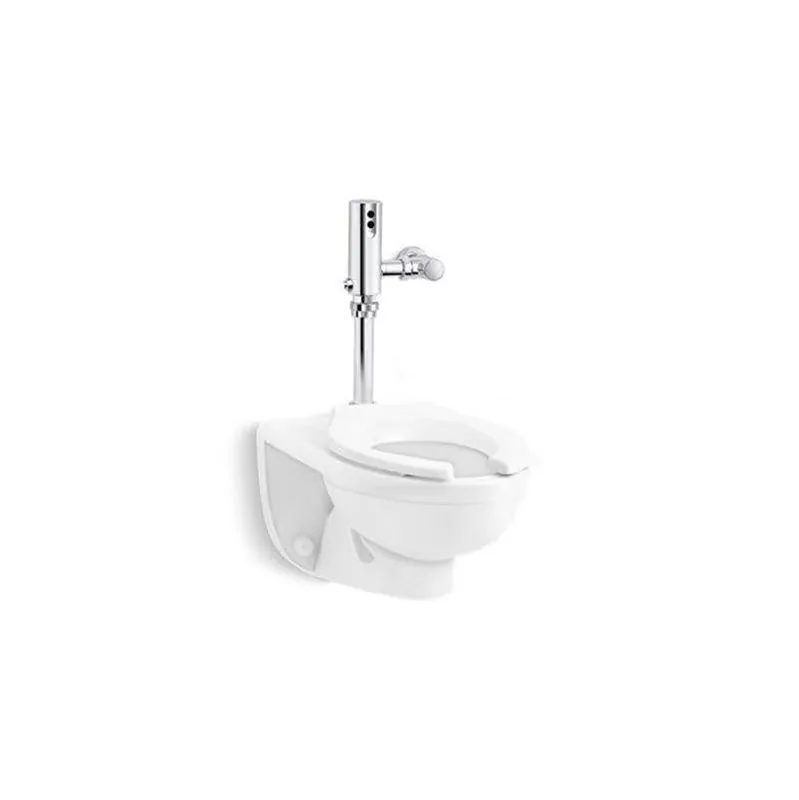 Kohler PR84325-T5D-NA Toilet 1.6 GPF