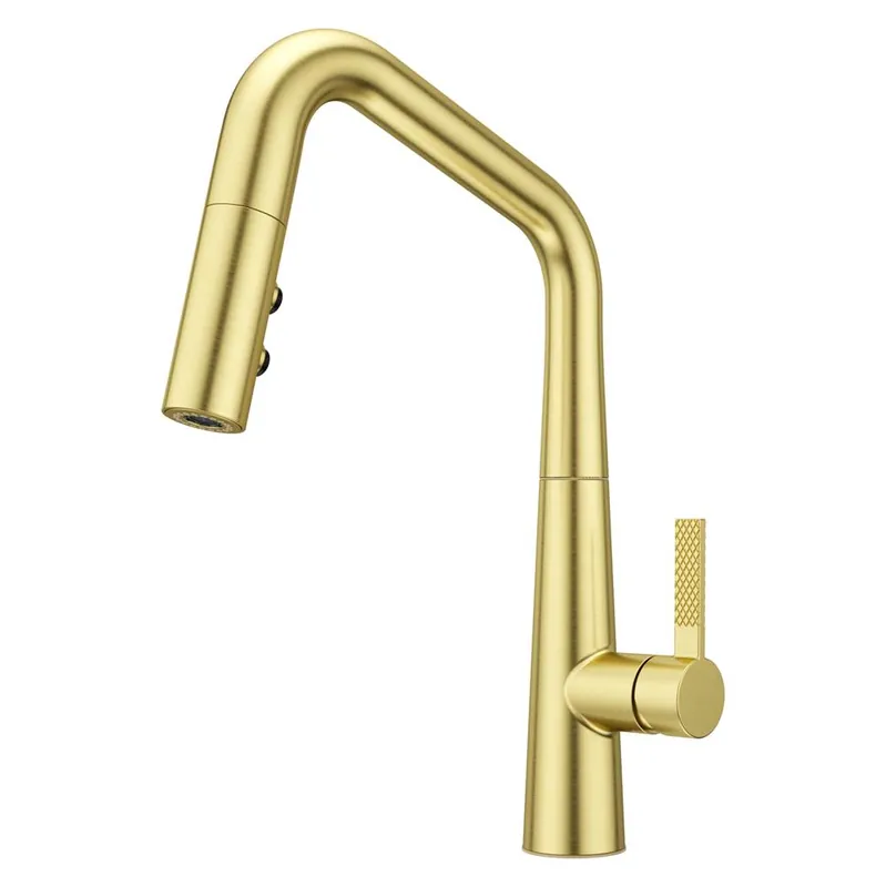 Pfister GT529-ASRBG 1-Handle Pull-Down Kitchen Faucet in Brushed Gold
