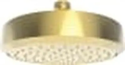 Brass Tech 2141/04 CCY 1.8 Contemporary Shower Head Satin Brass