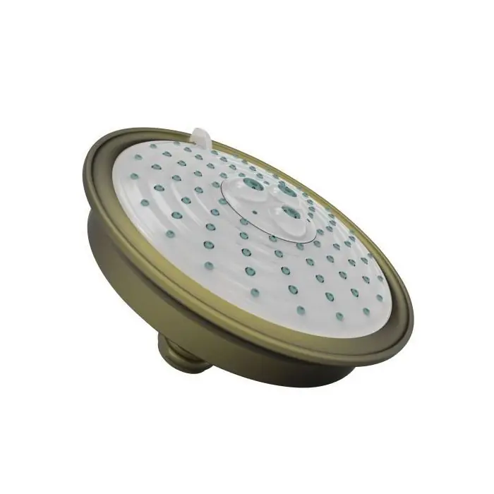 Brass Tech 2144/06 Multifunction Showerhead Power