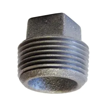 ASC Engineered Solutions 3.BP Plug 3 Blk Ci Cored Sq Head 125# Thrd