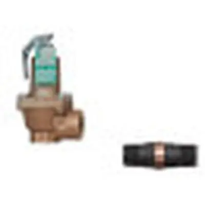 Watts Regulator Company F278510 2 174A 150 FS Automatic Reseating