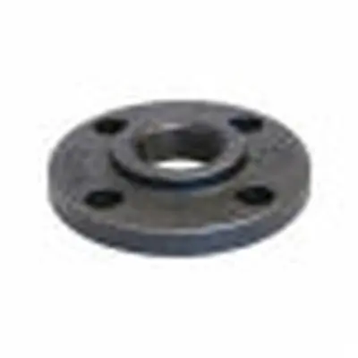 ASC Engineered Solutions 4X9.NCF Flange 4X9 GLV CI 125# F/F FIG 20 - THRD