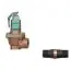 Watts F278480 2 174A 125 FS Automatic Reseating Valve