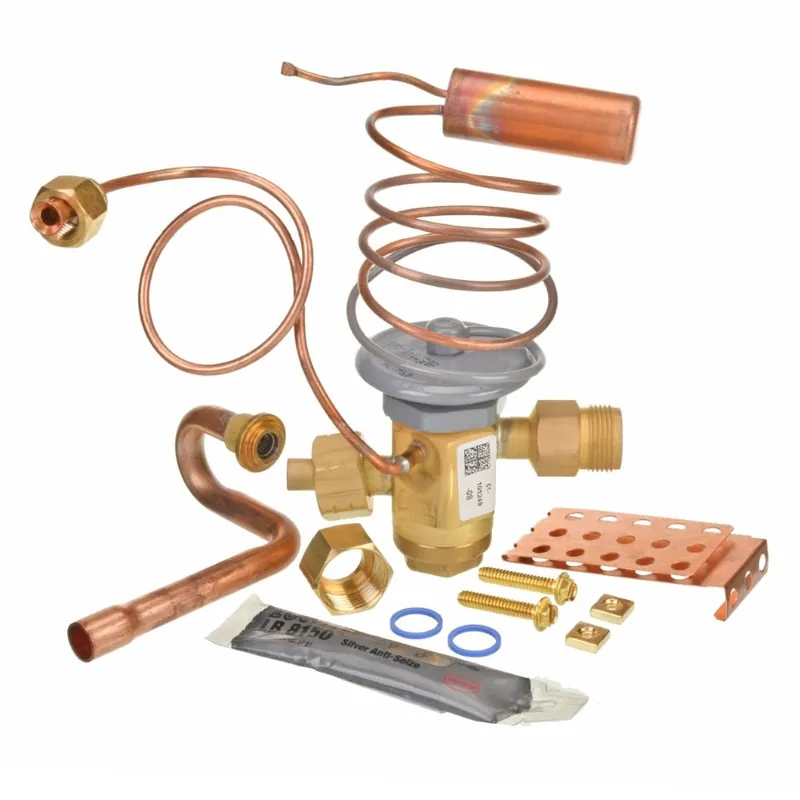 Rheem PD619081 Expansion Valve Kit (TXV)