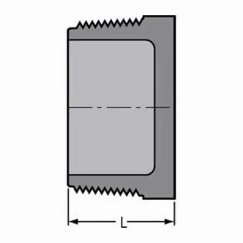 Spears 850-005C 1/2 CPVC PLUG MPT SCH80
