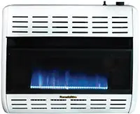 Empire Comfort Systems HBW30TN HB30TN HearthRite Emp Vent Free T Gas Blue F
