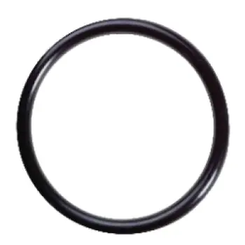 CAMPBELL 10800034 O-RING FOR 1P & 2P SERIES FILTER LEAD FREE
